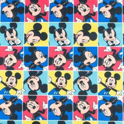 Dresówka pętelka wzór myszka kolorowa