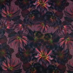 Dzianina Dresówka – wzór kwiaty kolor burgund