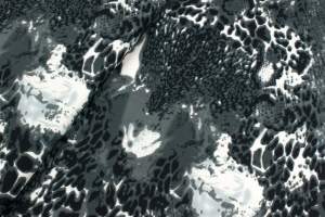 Zara nurek wzór panterka szary / biały