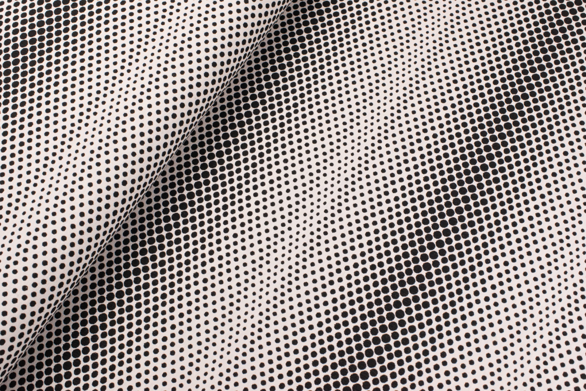 _DSC8495.jpg